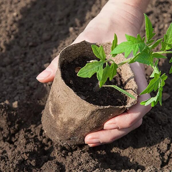 Biodegradable Seedling Pot Paper Pulp Cup Plant Nursery Pots Disposable Germination Cup