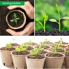 Biodegradable Seedling Pot Paper Pulp Cup Plant Nursery Pots Disposable Germination Cup