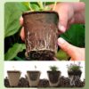 Biodegradable Seedling Pot Paper Pulp Cup Plant Nursery Pots Disposable Germination Cup