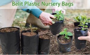 black plastic nursery grow bags main set, grow bags with drainage holes, stacked plastic seedling bags, grow bag with potted seedling