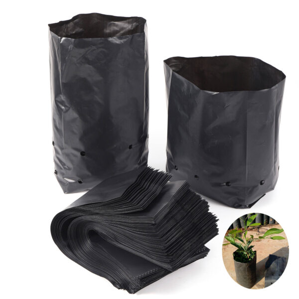 Disposable plastic grow bags with drainage holes for seedling propagation, nursery use, and transplanting.