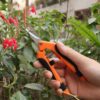 Wholesale Garden Pruner Shear Stainless Steel Blade for Plants Branch