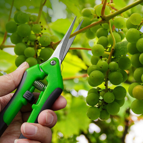 Wholesale Garden Pruner Shear Stainless Steel Blade for Plants Branch