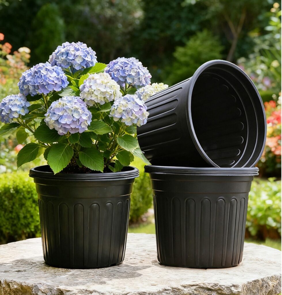 Black plastic plant pot