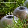 Adjustable Transparent Plant Domes Seedlings Nursery Pots Reusable Thick Plastic Grow Cover for Seed Starter Growth