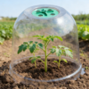 Adjustable Transparent Plant Domes Seedlings Nursery Pots Reusable Thick Plastic Grow Cover for Seed Starter Growth