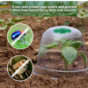Adjustable Transparent Plant Domes Seedlings Nursery Pots Reusable Thick Plastic Grow Cover for Seed Starter Growth