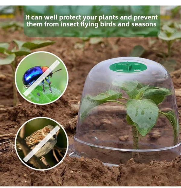 Adjustable Transparent Plant Domes Seedlings Nursery Pots Reusable Thick Plastic Grow Cover for Seed Starter Growth