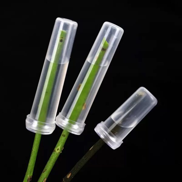 Flower Nutrition Tubes for Rose Stems Flower Roots