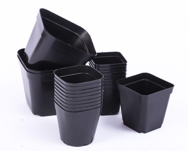Black Square Nursery Pots with Enhanced Drainage – Ideal for Succulents & Seedlings