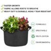 Black non-woven fabric grow bags with handles, one pot filled with colorful flowers and green plants