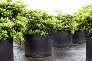 Portable Fabric Grow Bag – Easy for farm Plants