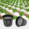 Plastic Net Cup Basket Mesh Pot - Black Slotted Hydroponic Grow Pots for Aquaponics & Gardening