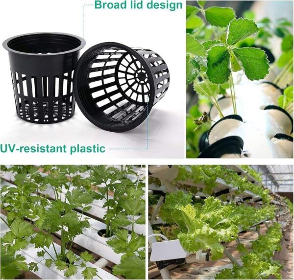 black plastic net cup basket mesh pot main set slotted mesh pot with potted plant stackable plastic net cups for hydroponics close-up of mesh pot drainage holes