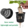 black plastic net cup basket mesh pot main set slotted mesh pot with potted plant stackable plastic net cups for hydroponics close-up of mesh pot drainage holes