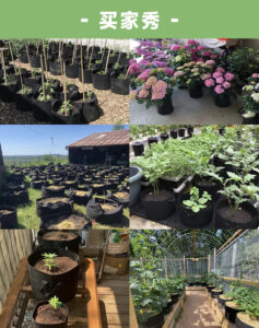 This fabric grow bag is perfect for growing flowers, vegetables, and herbs in your garden, balcony, or patio.