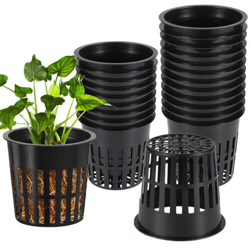 black plastic net cup basket mesh pot main set slotted mesh pot with potted plant stackable plastic net cups for hydroponics close-up of mesh pot drainage holes