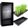Stack of black plastic seedling trays (no holes), one tray with fresh growing microgreens