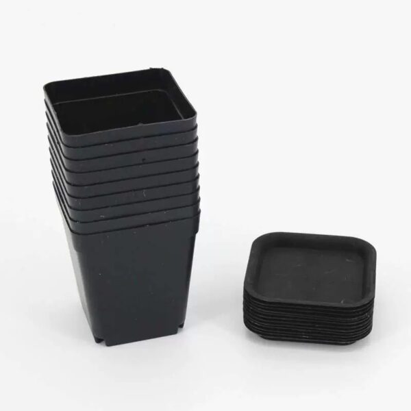black square pots with saucer