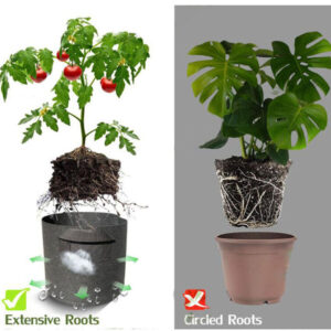 Breathable material stops root rot